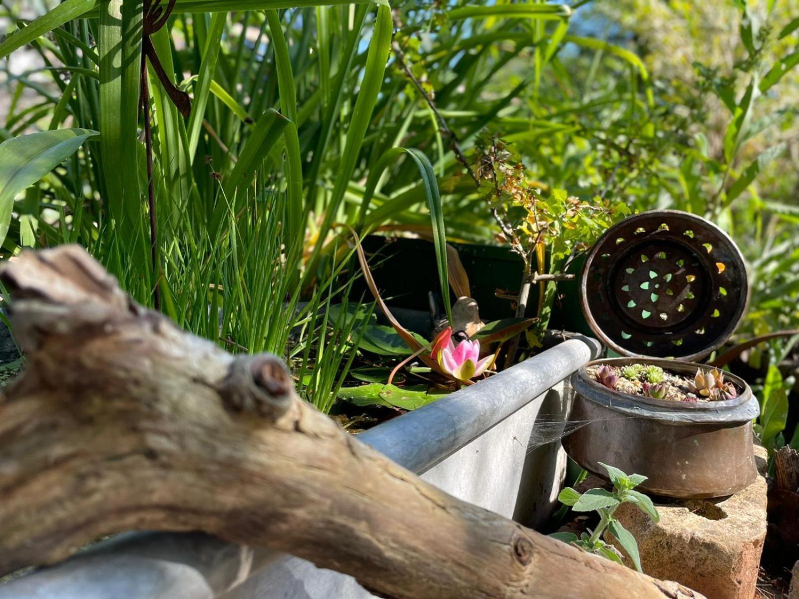 Ferienwohnung Im VitalArt Naturgarten Zweibrücken Exterior foto