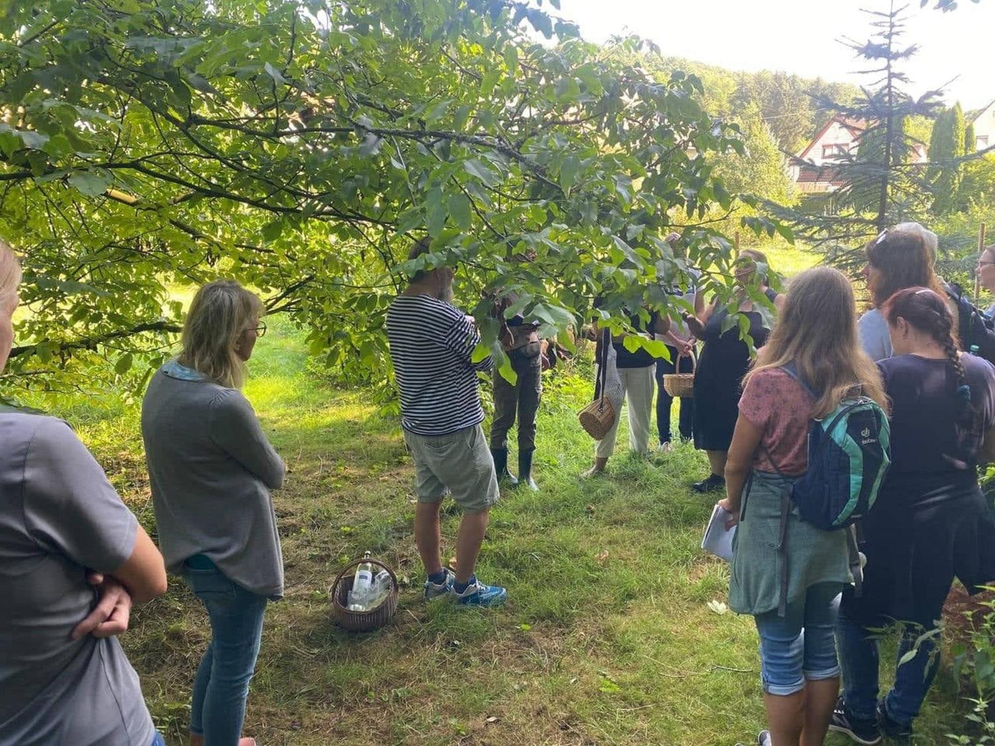 Ferienwohnung Im VitalArt Naturgarten Zweibrücken Exterior foto