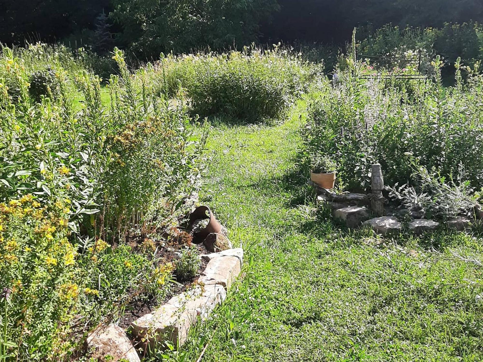 Ferienwohnung Im VitalArt Naturgarten Zweibrücken Exterior foto