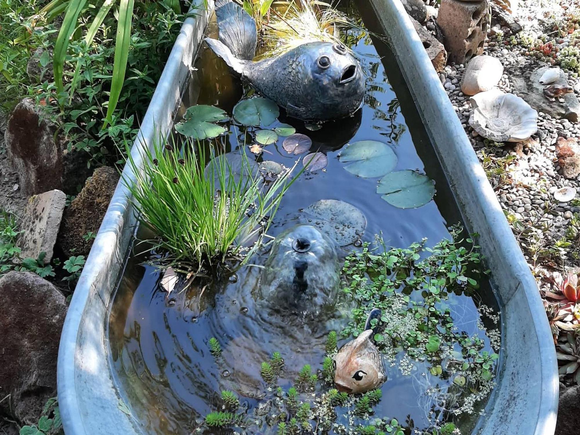 Ferienwohnung Im VitalArt Naturgarten Zweibrücken Exterior foto